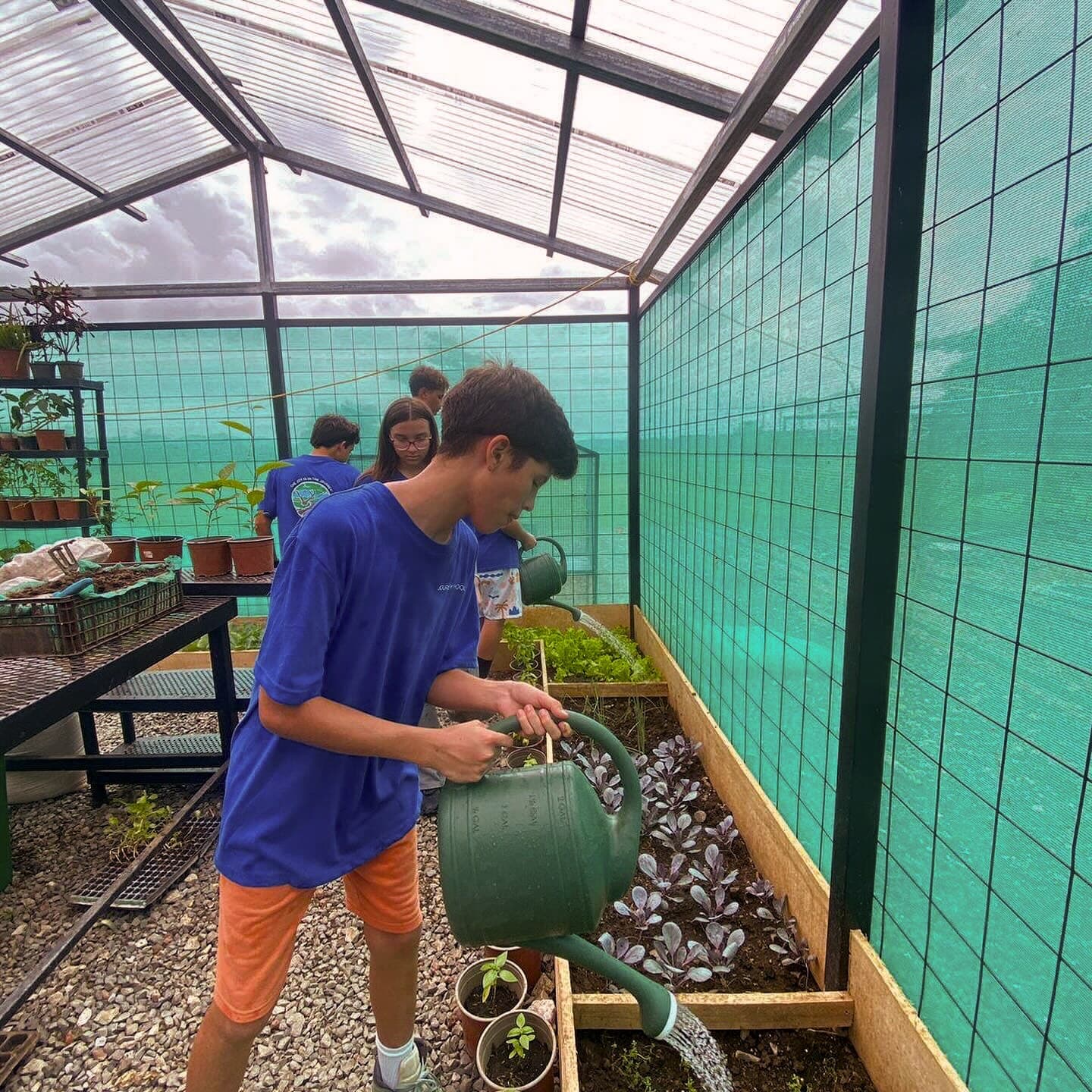 Student watering plants in greenhouse