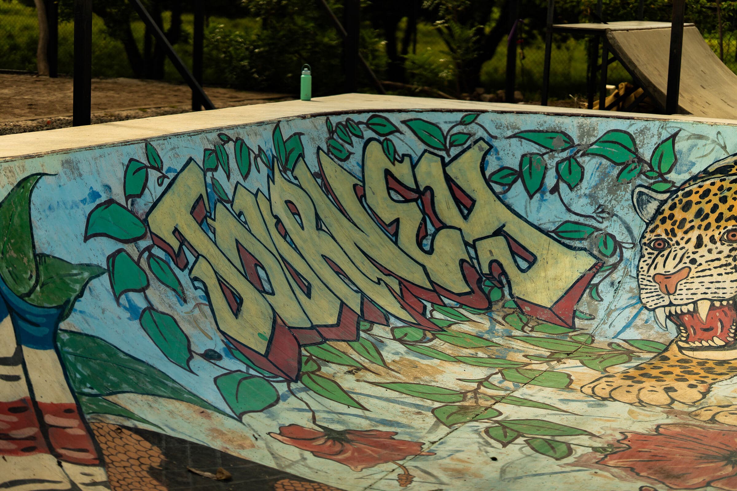 The Tamarindo skate bowl painted with the JOURNEY jaguar graffiti mural